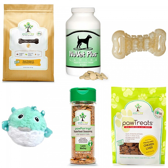 Recommended Pomeranian Supplies